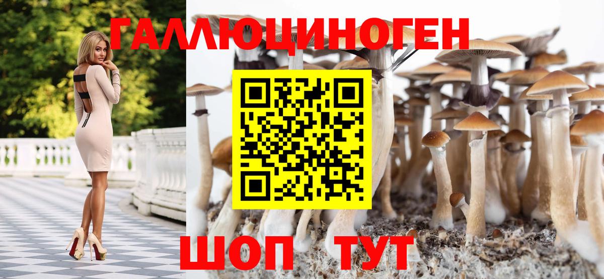Псилоцибиновые грибы Psilocybe  Галлюциногенные грибы прущие грибы  Сергиев Посад  Вход с VPN 